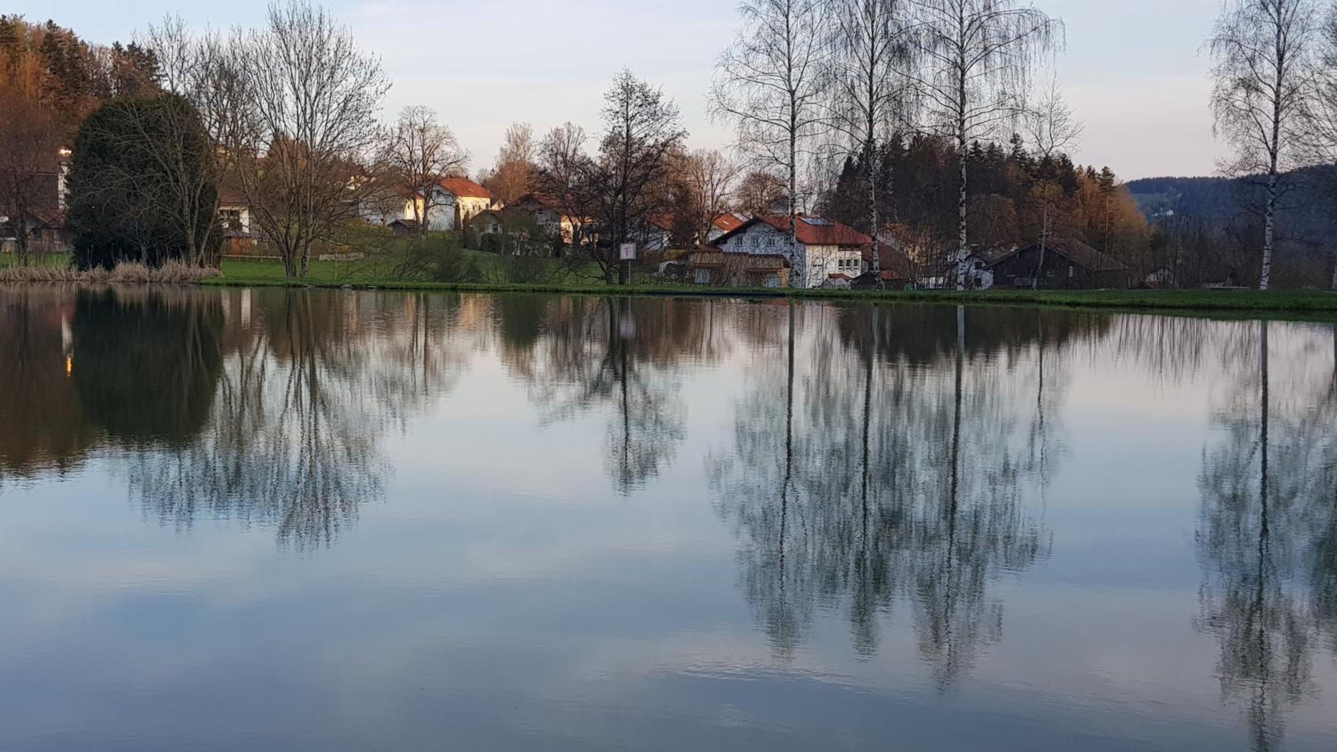 Ferienhäuser zum Badeweiher