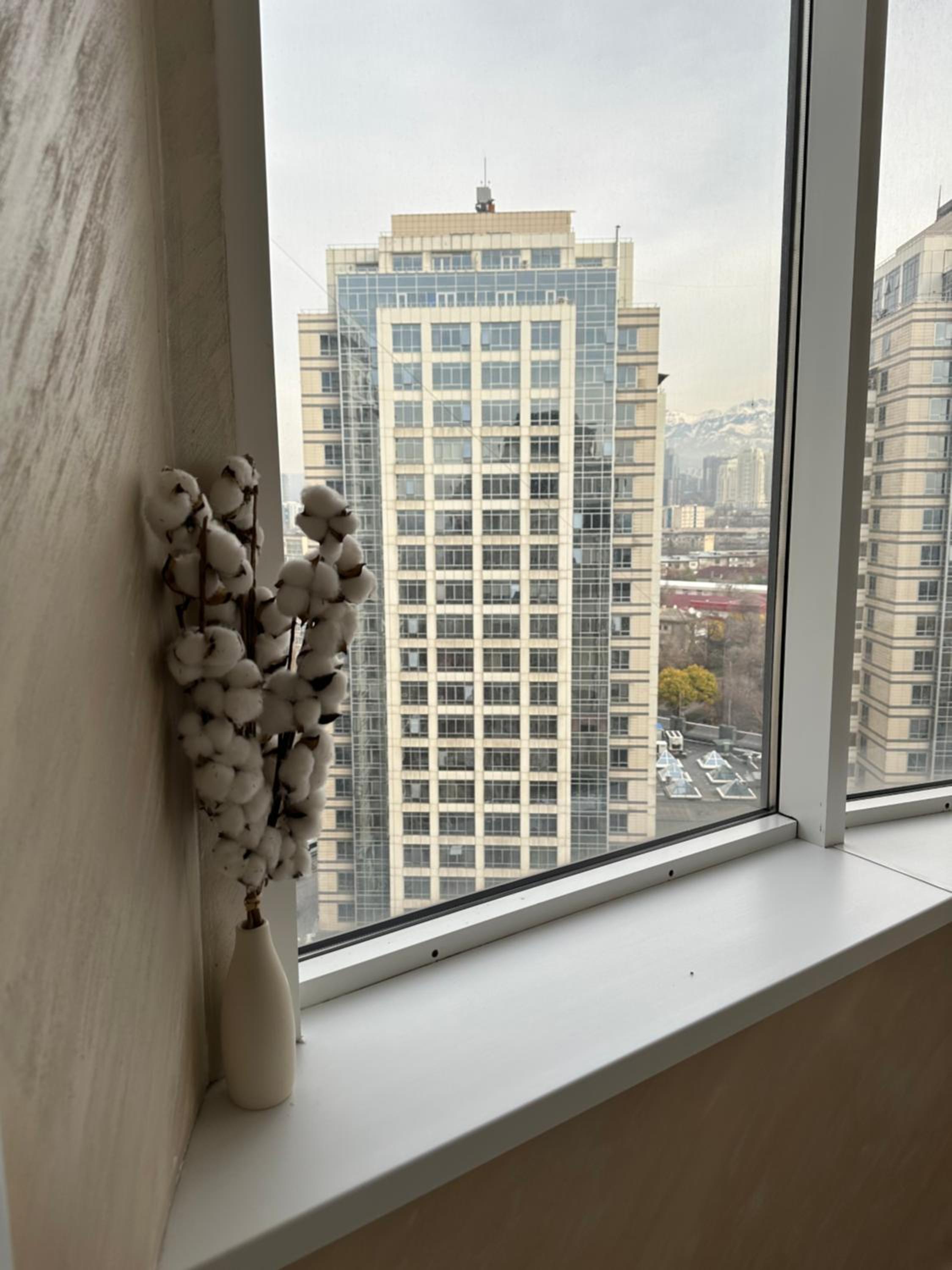 2-ком квартира в ЖК Tengiz Towers с лоджией view 5