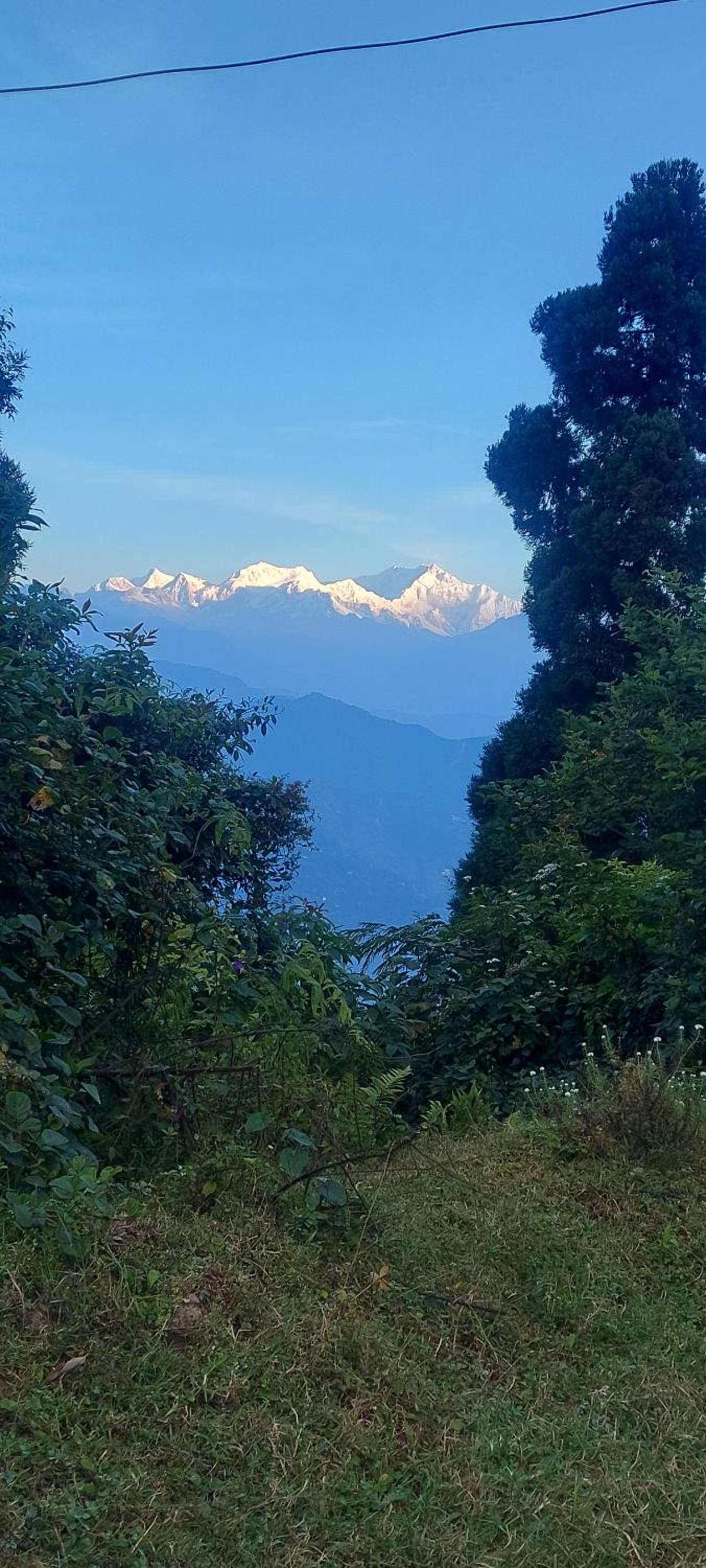 Athithi homestay
