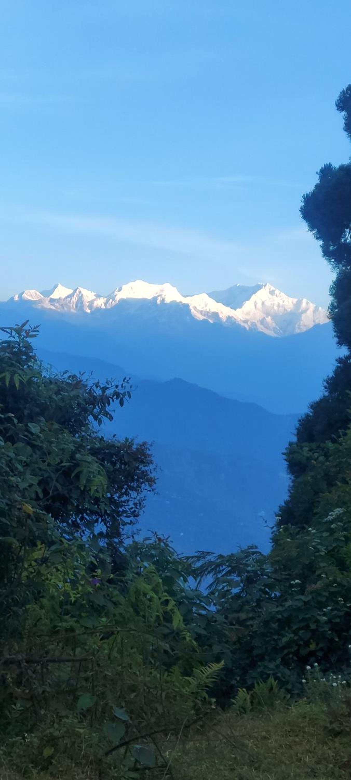 Athithi homestay