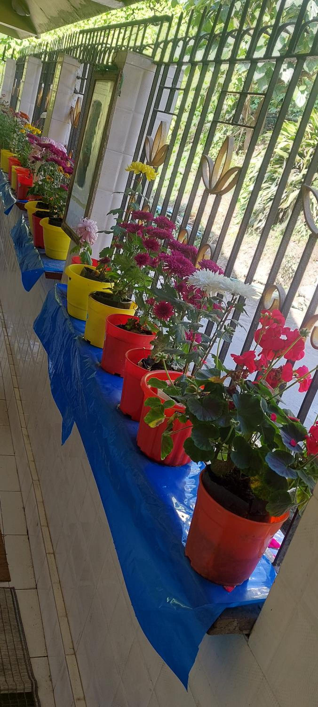 Athithi homestay