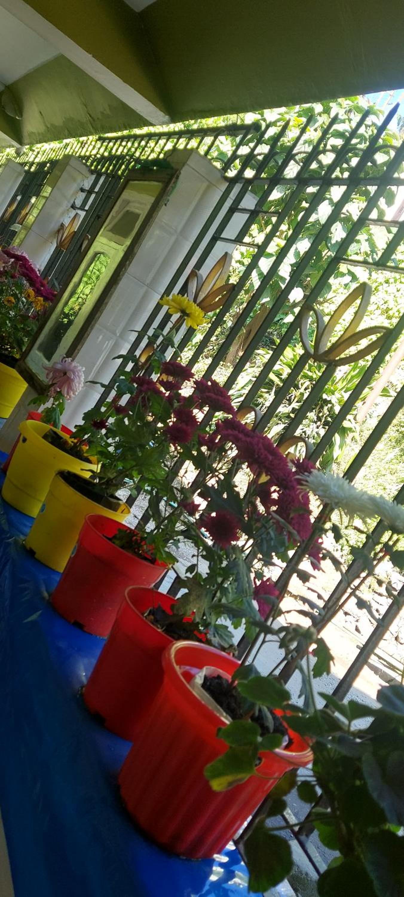 Athithi homestay
