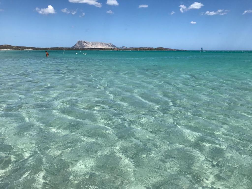 Casa Vacanze Ichnusa