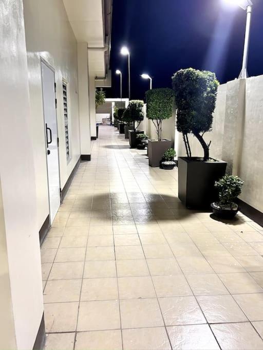 Beautiful Apartment in T. Morato