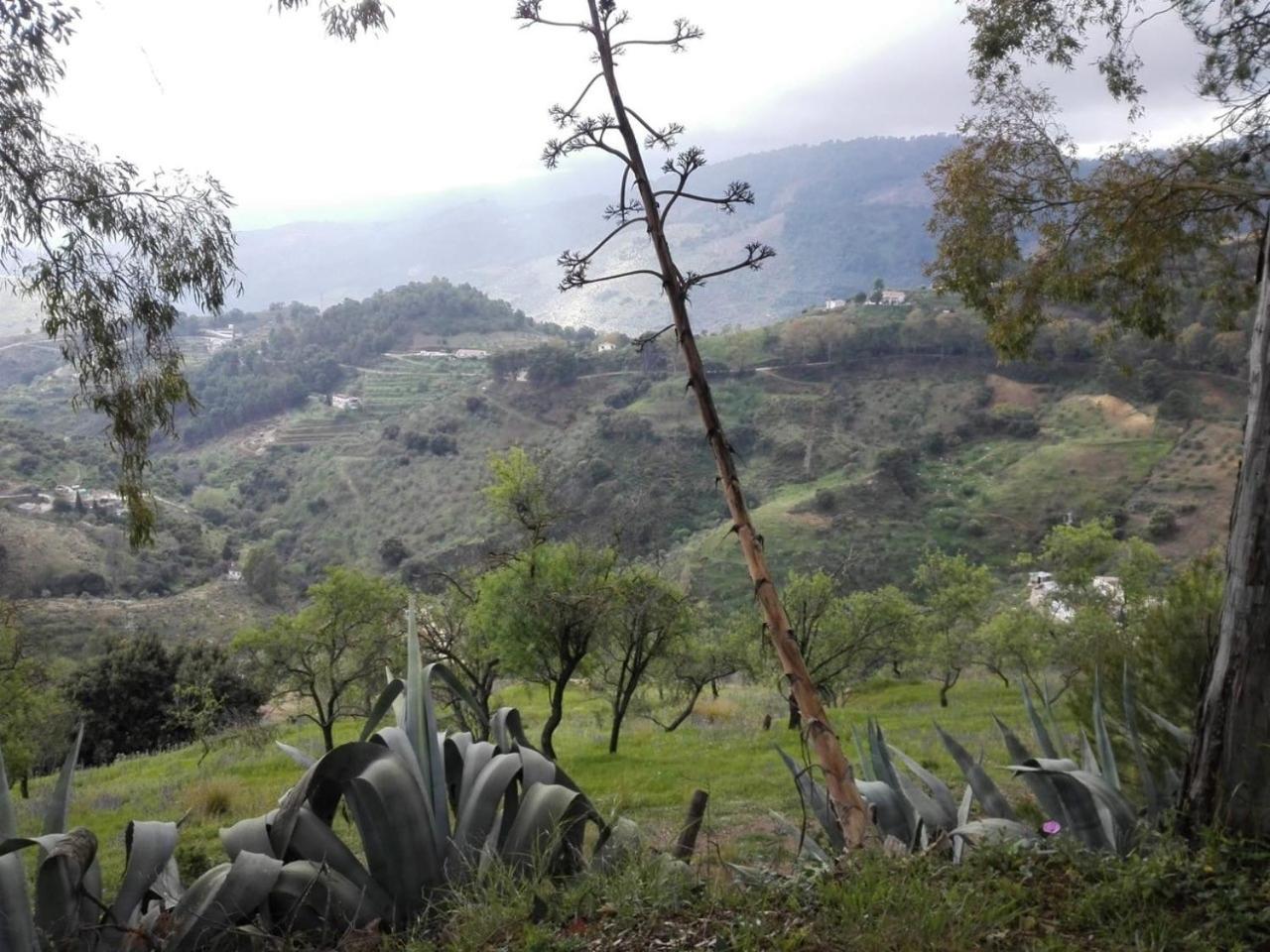 Cabaña La Pura Vida Yunquera