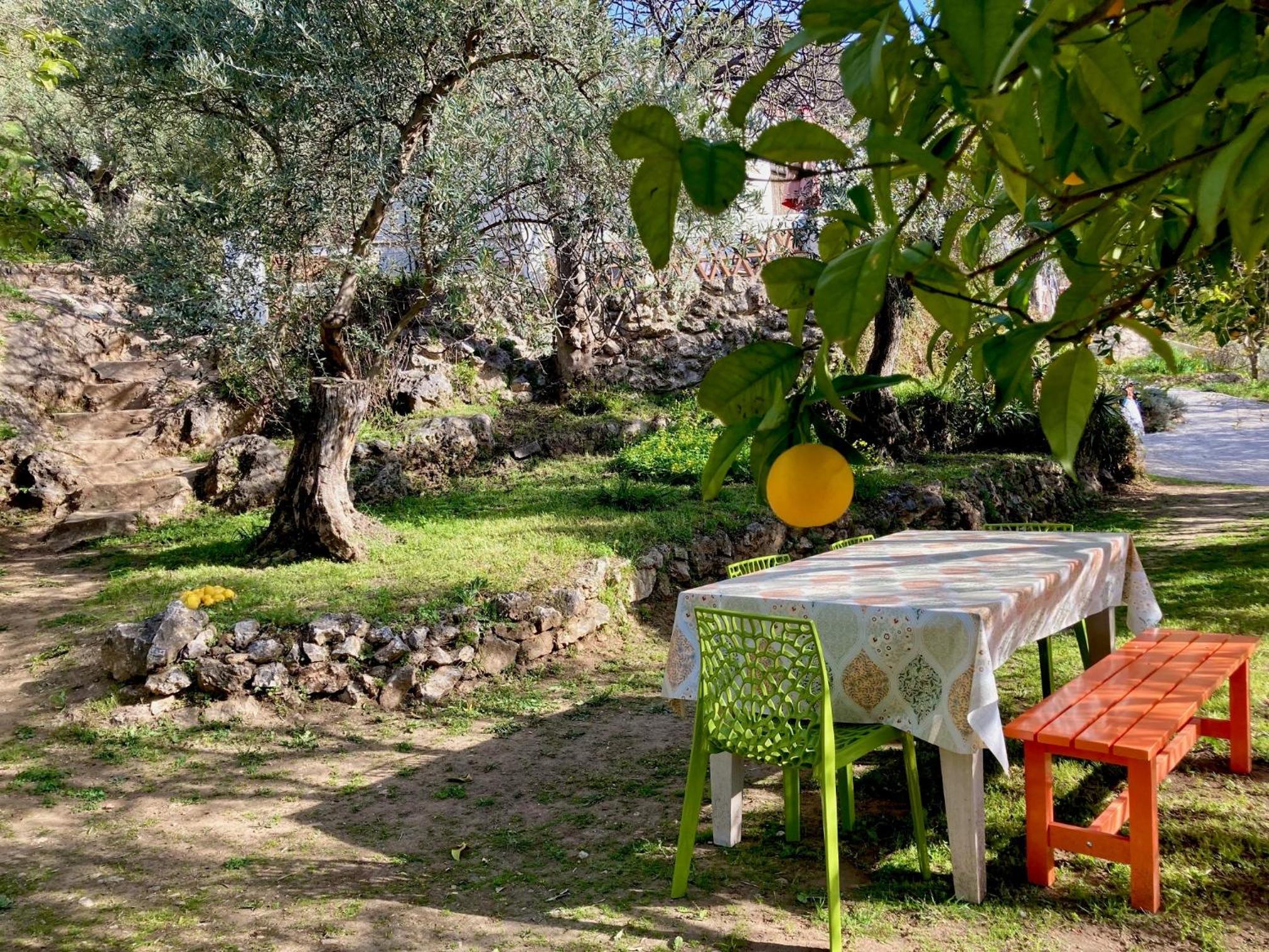 Cabaña La Pura Vida Yunquera