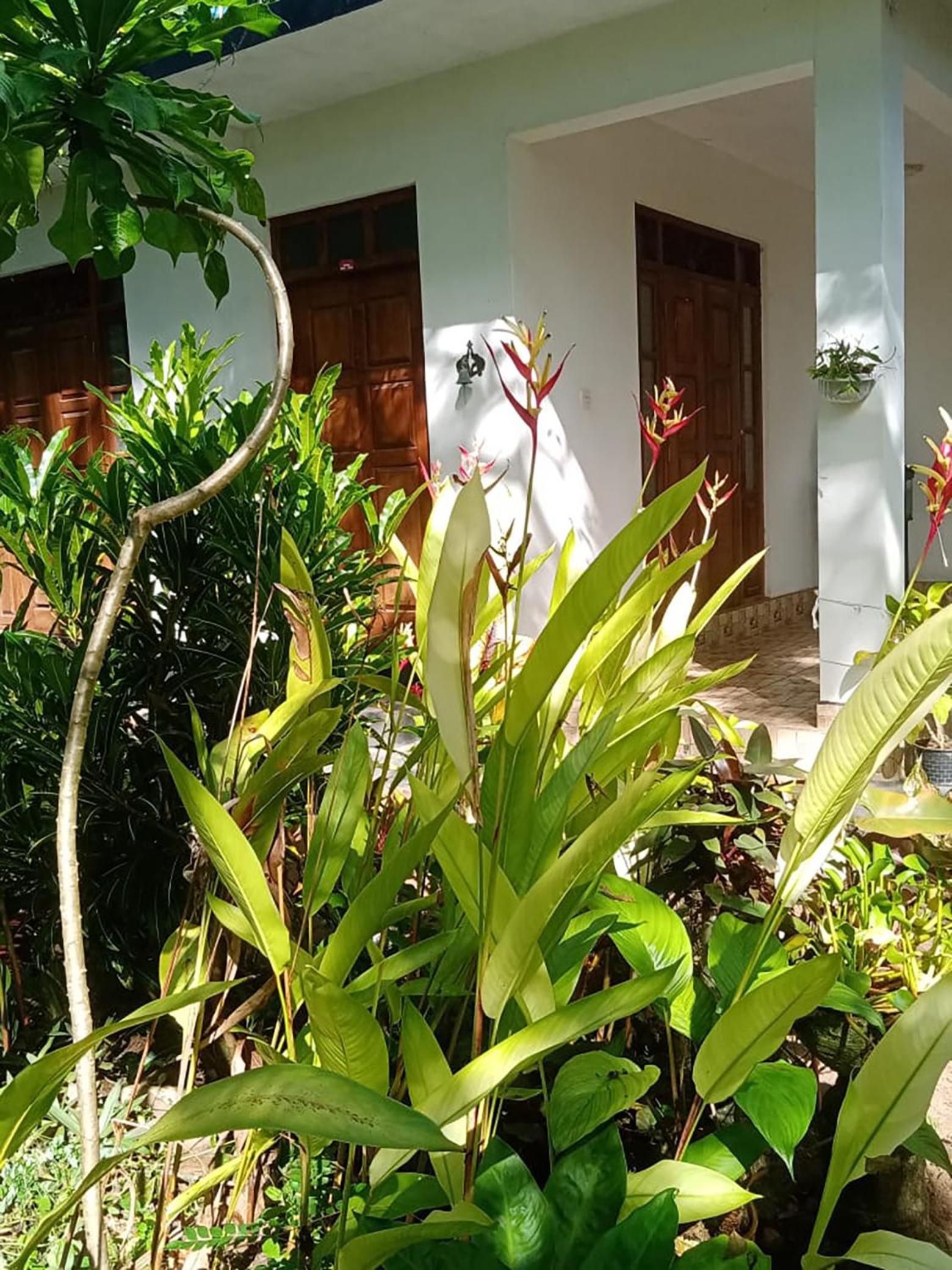 Green Paradise Villa Patuwatha Dodanduwa