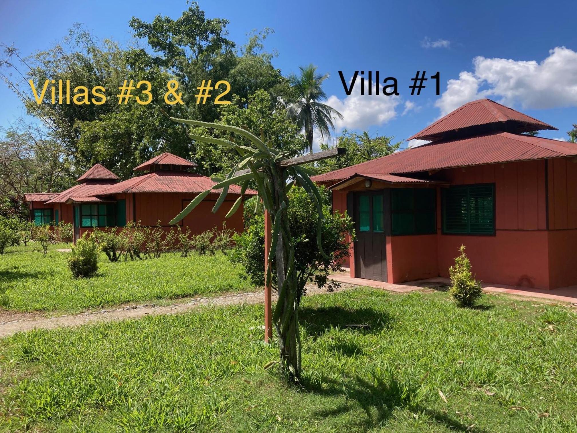 Hotel Sonidos Amados