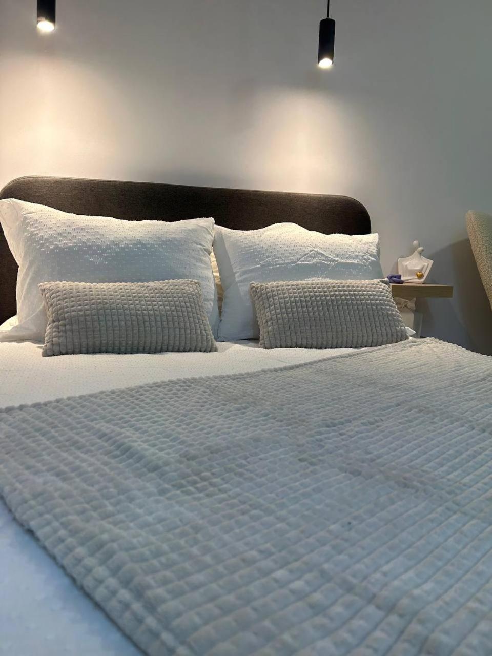 Pirotska Modern Room