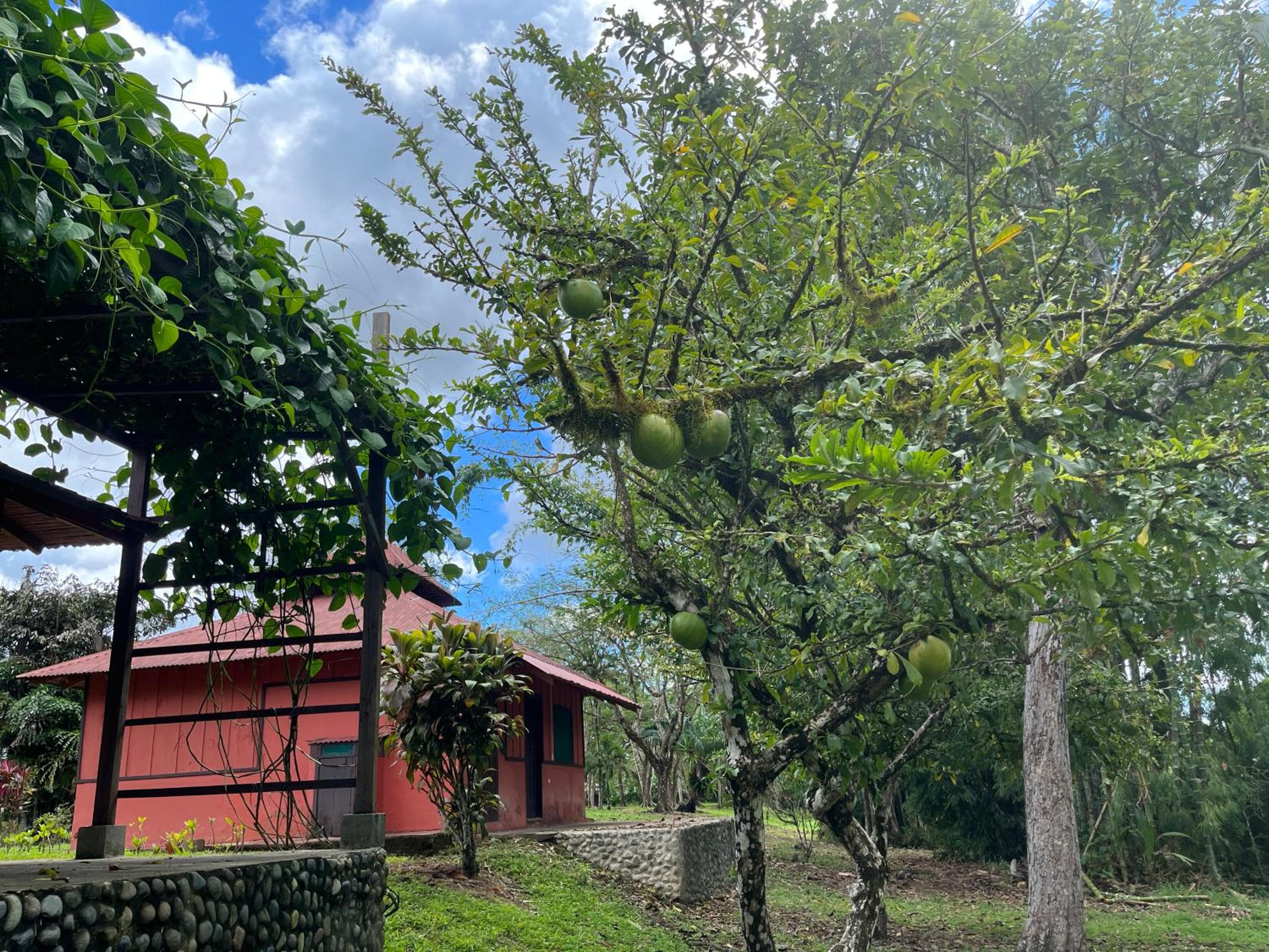 Hotel Sonidos Amados
