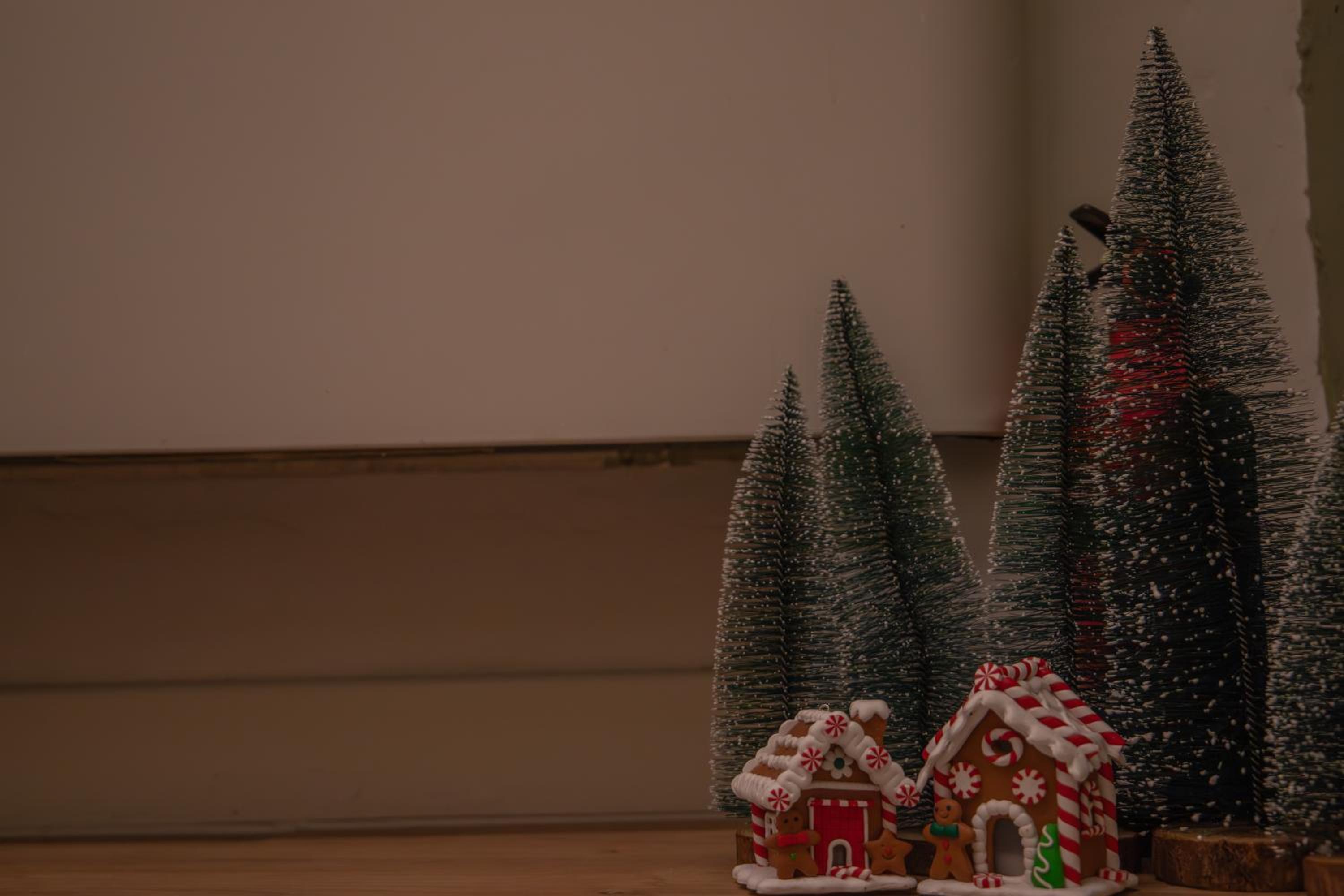 Photo 44