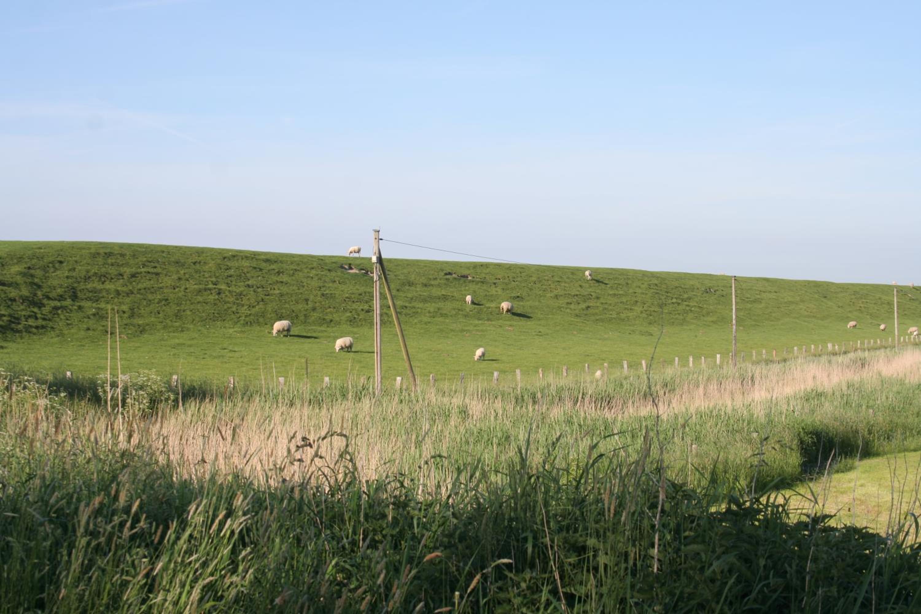 Photo 46