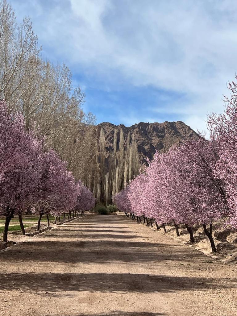 Casa de Montaña Uspallata, Mendoza