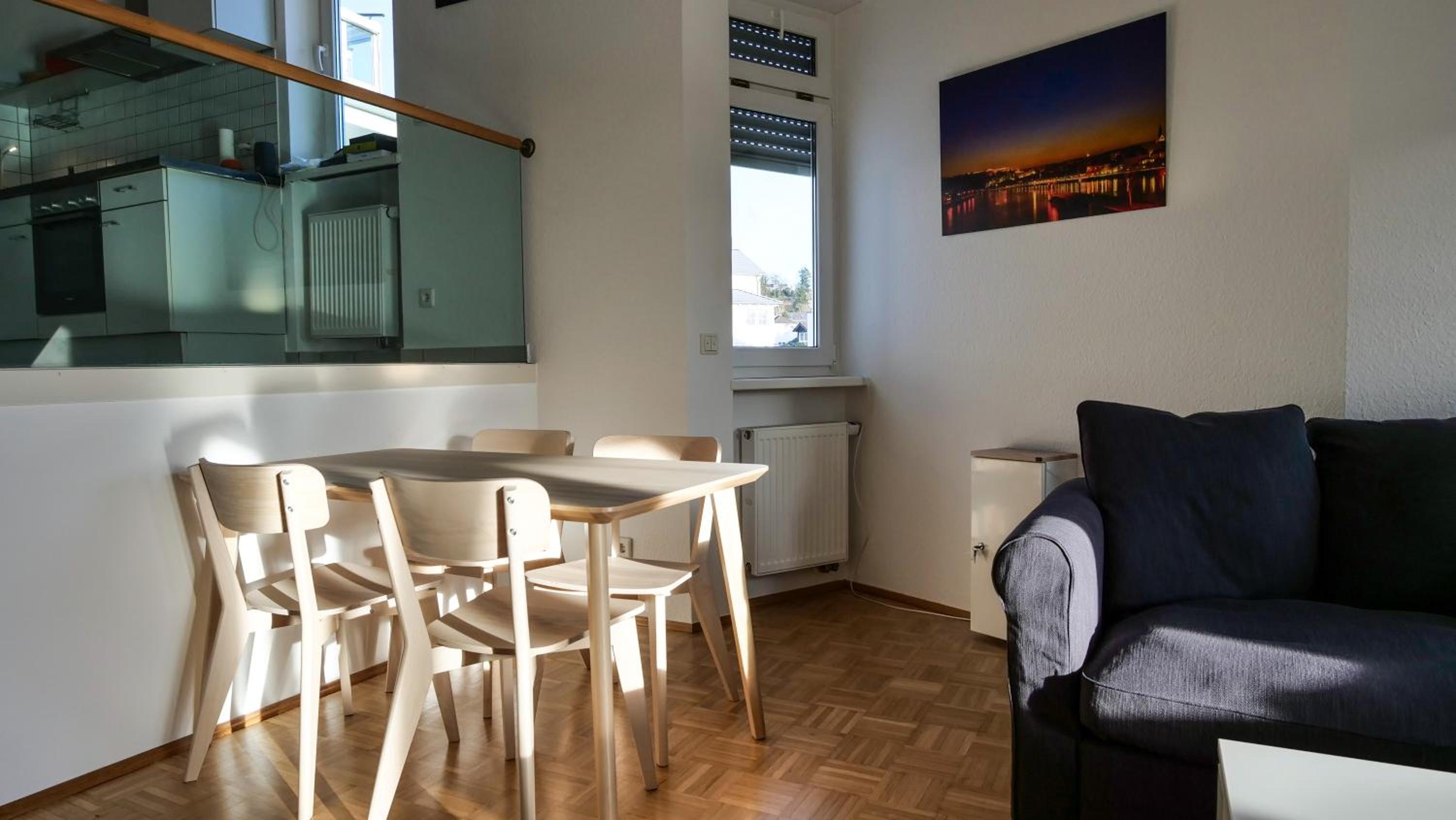 Ferienwohnung Rhein-Panorama