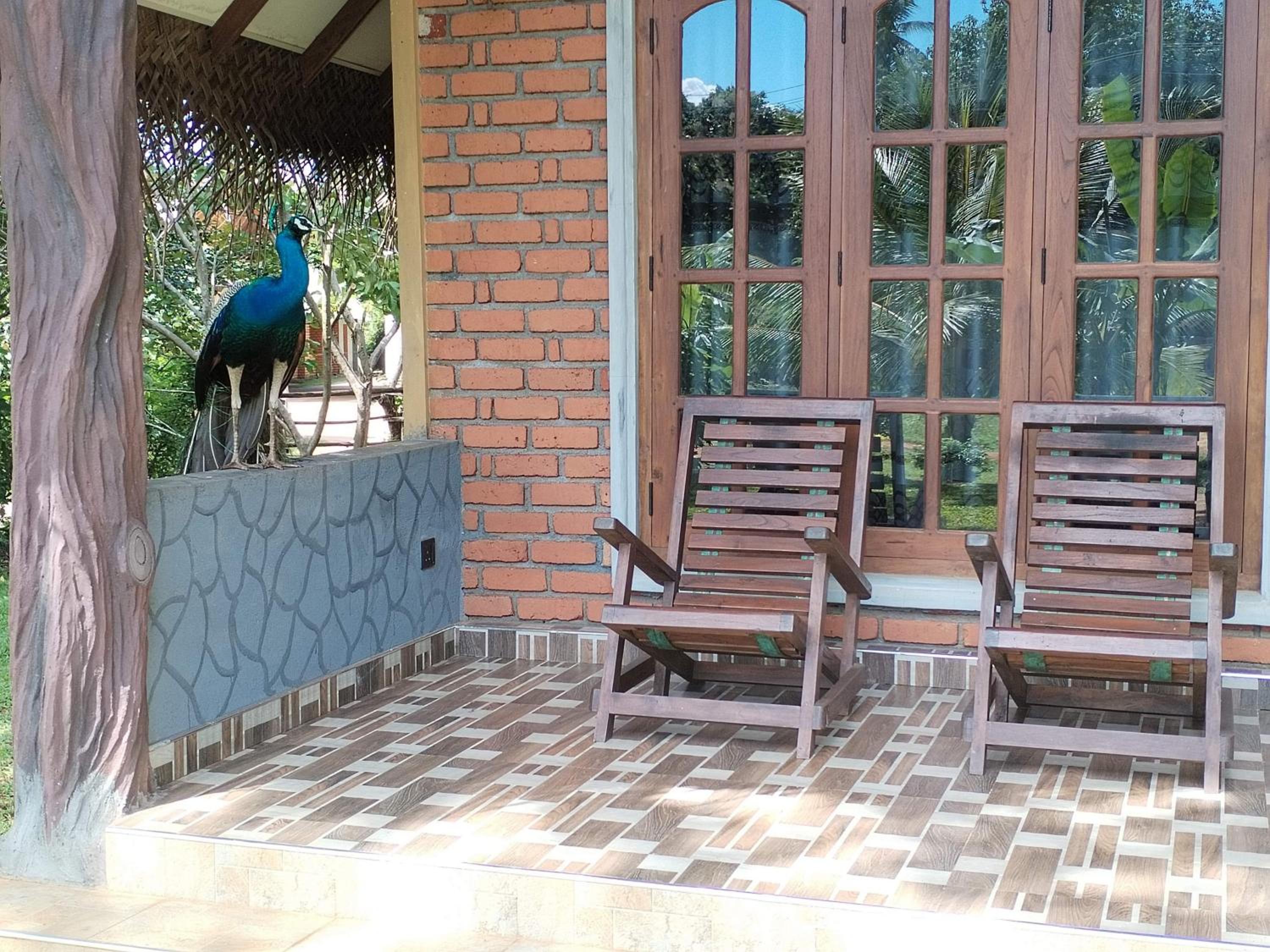 Sigiriya Nature Resort view 4