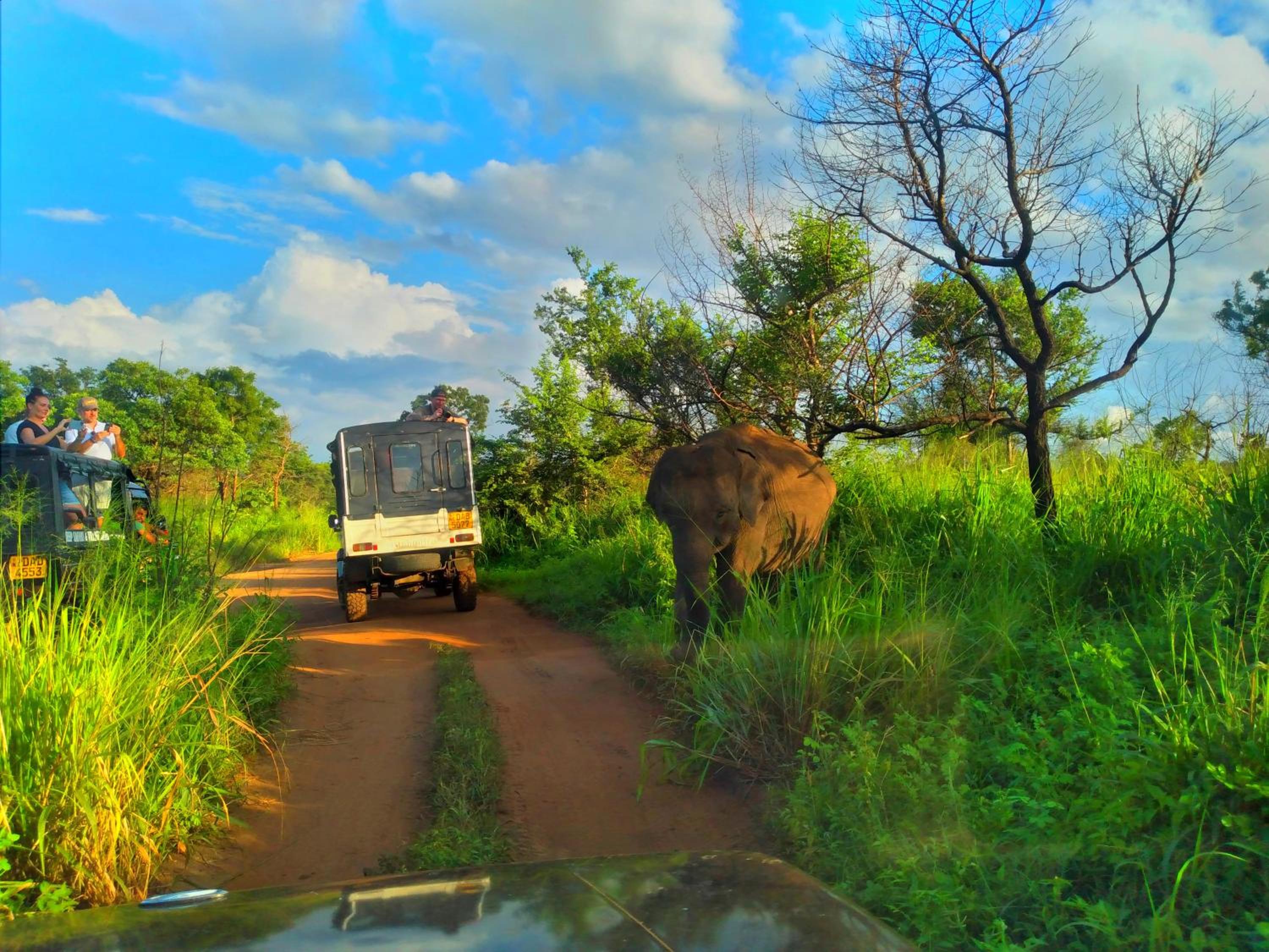 Sigiriya Nature Resort view 3