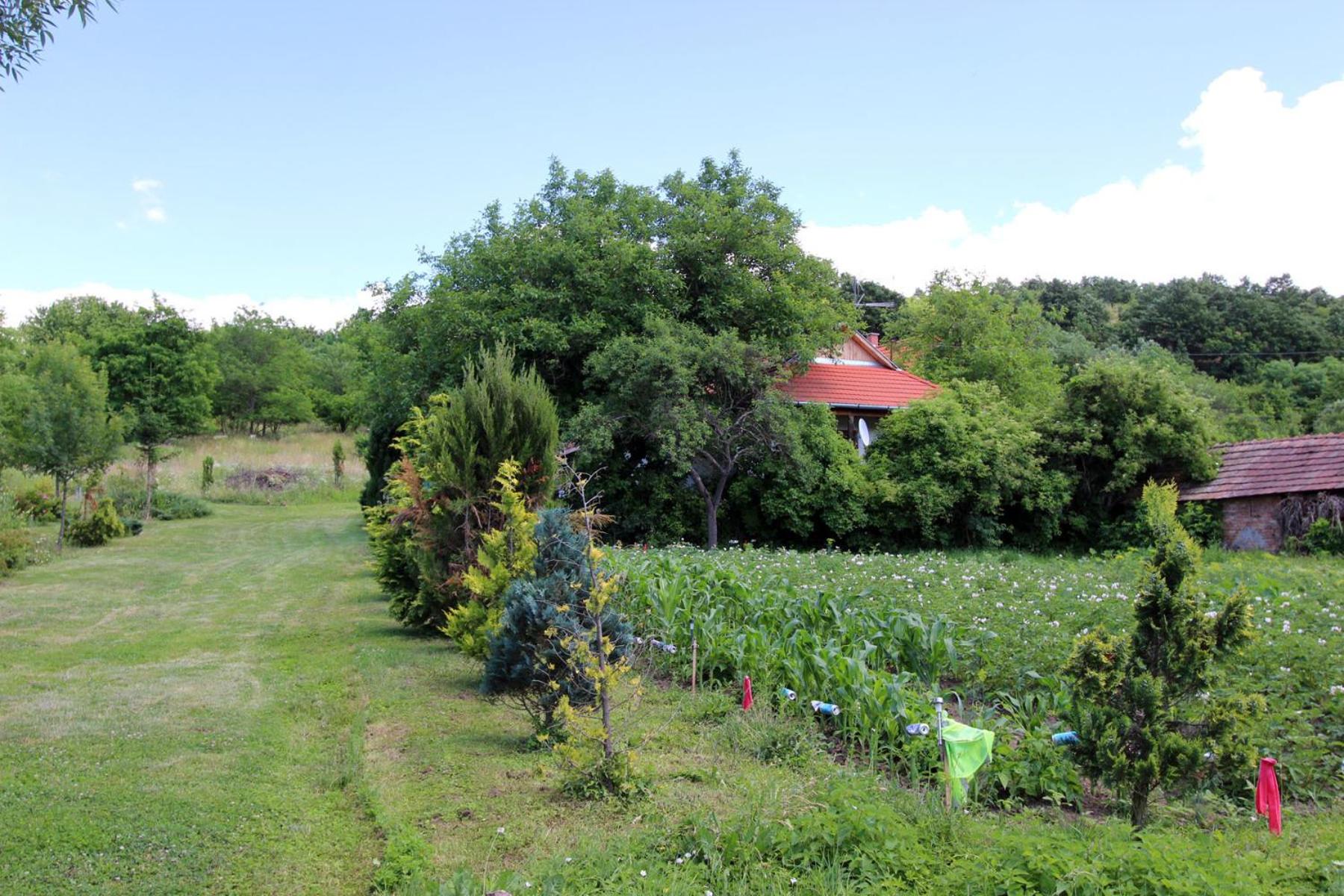 Photo 22