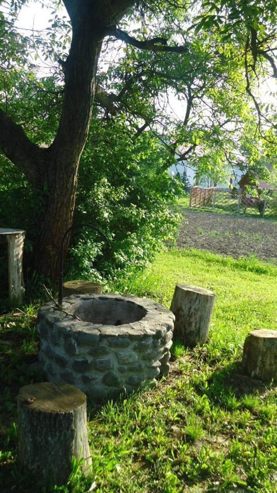Photo 24