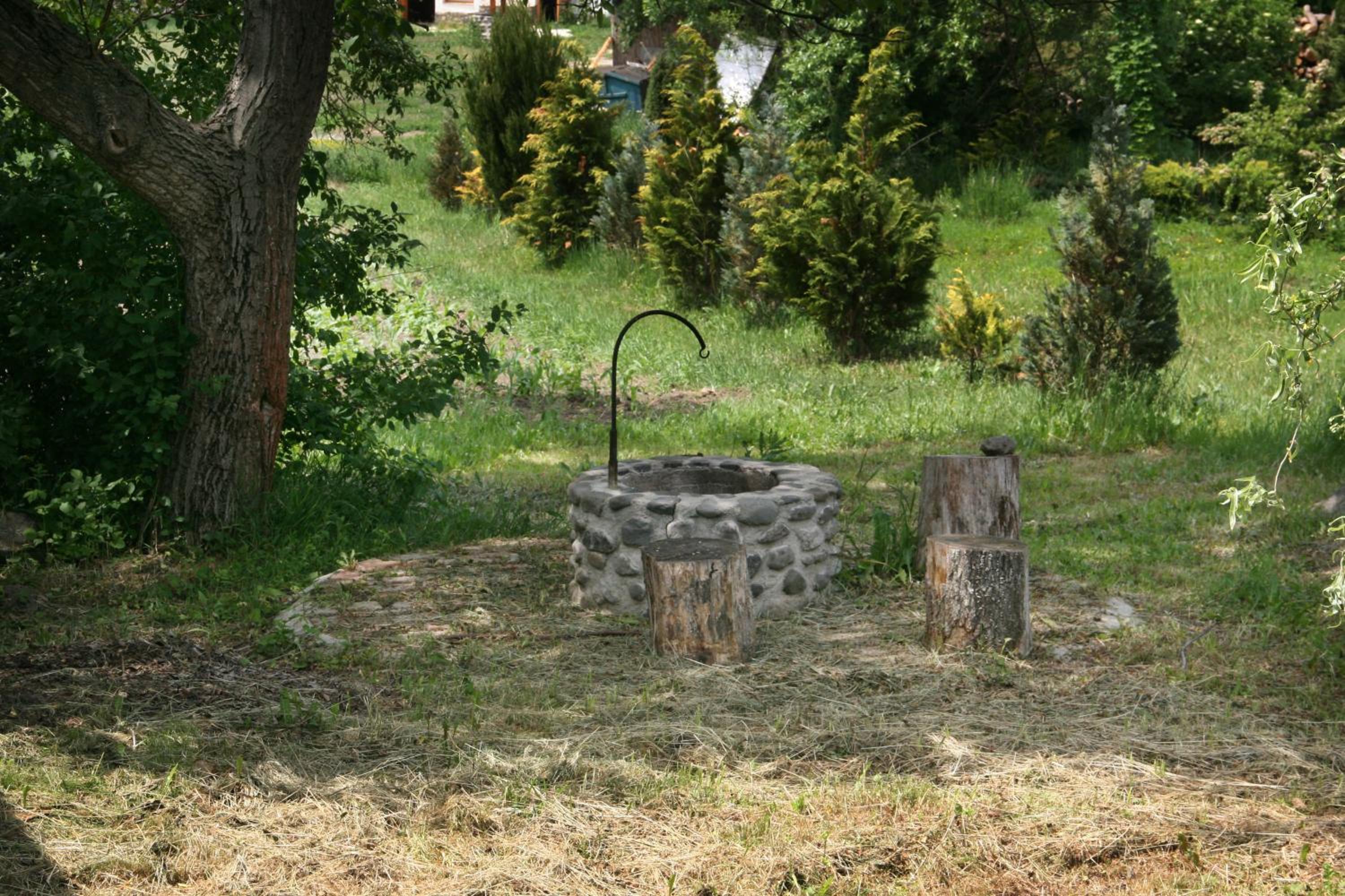 Photo 26
