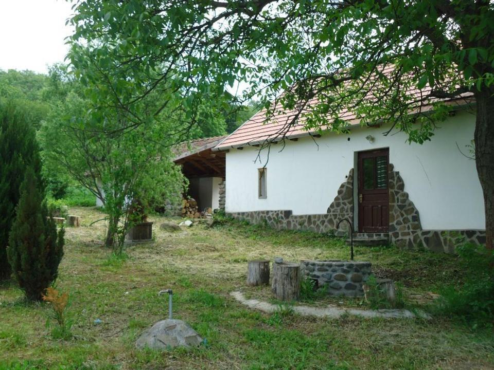 Photo 37
