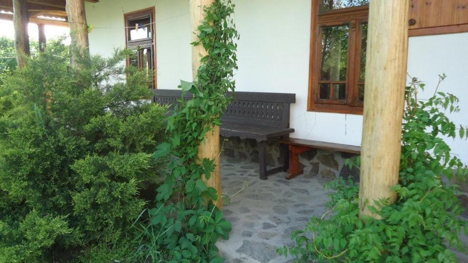 Photo 39
