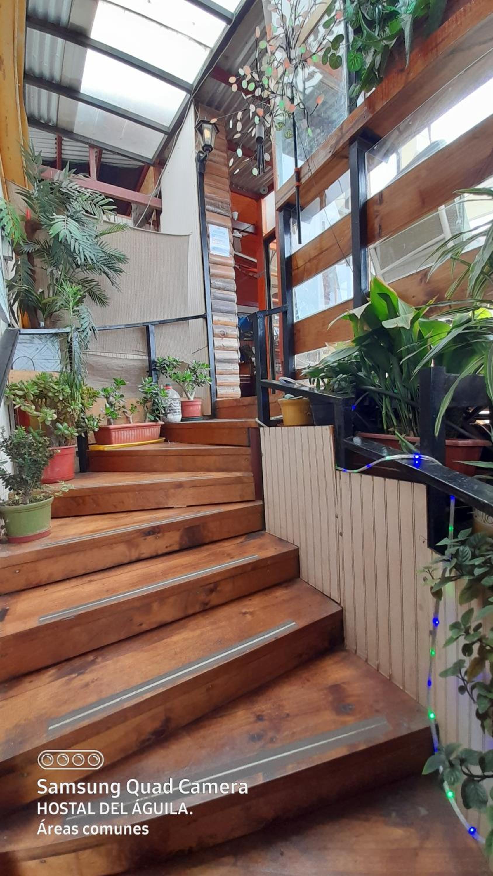 Hostal del Aguila