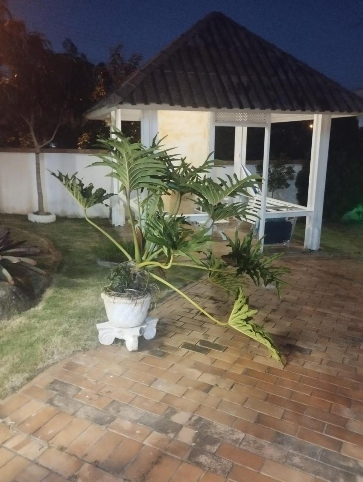Casa Praia Brava Florianópolis.