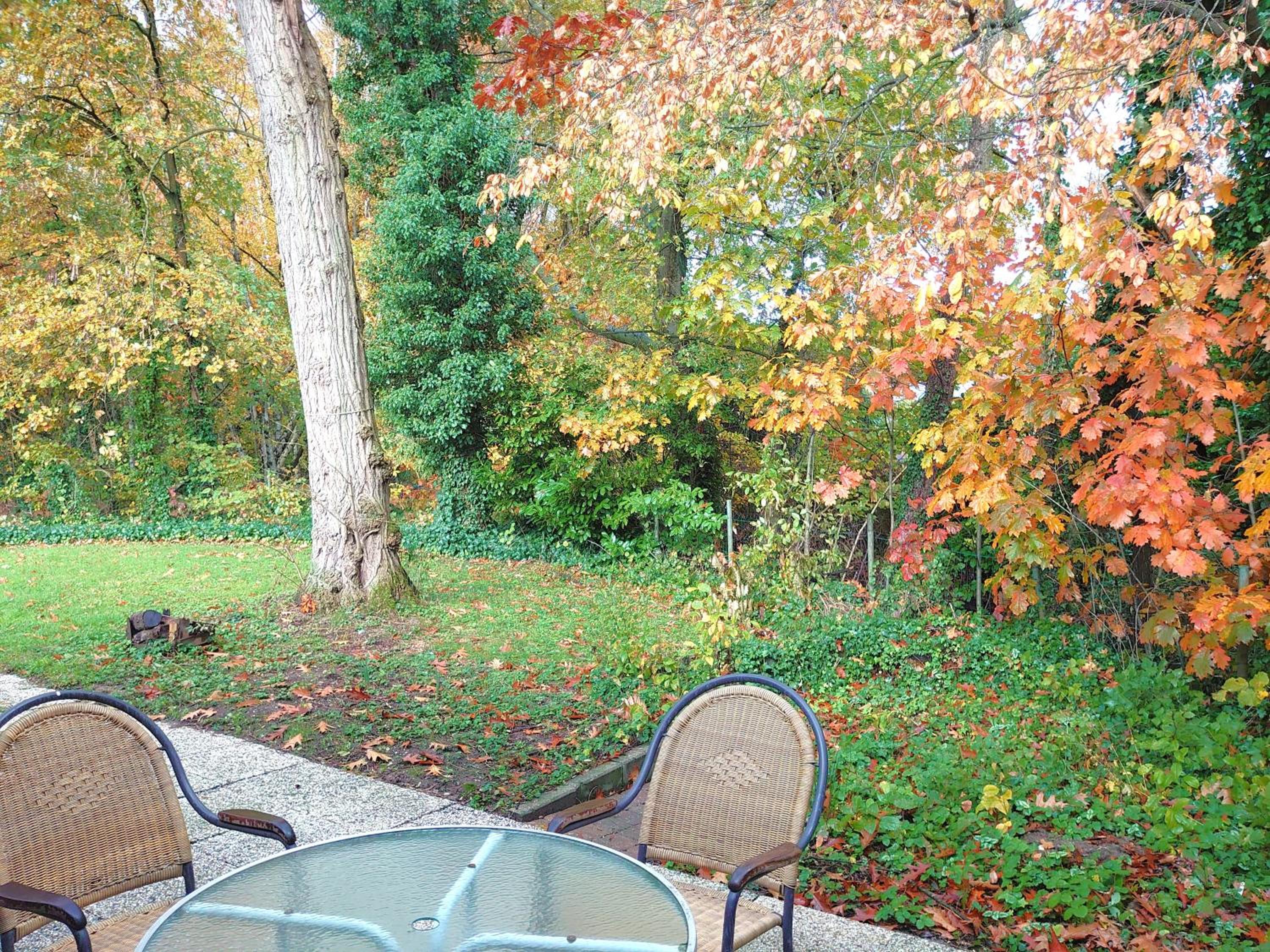 Vrijstaande vakantiebungalow met optimale privacy!!