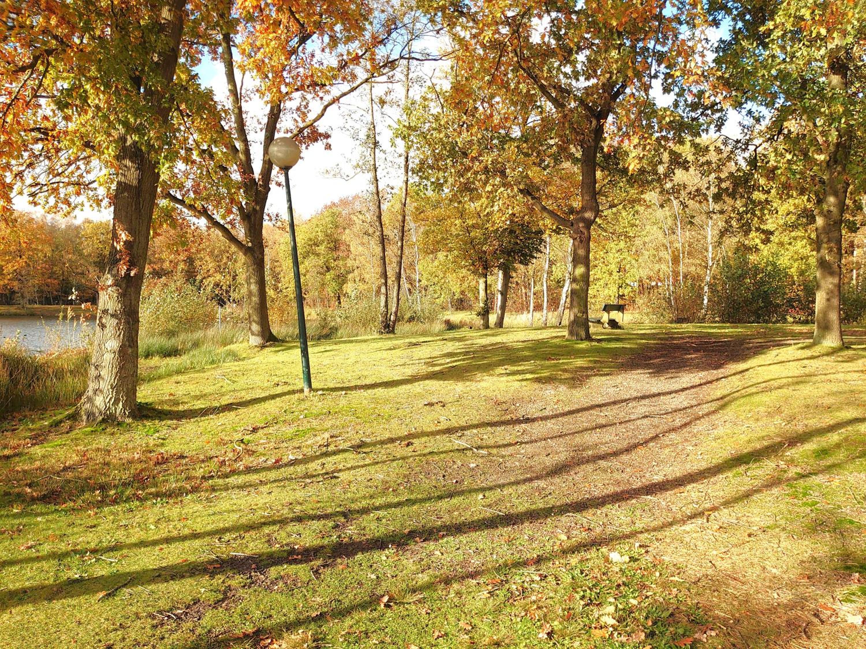 Vrijstaande vakantiebungalow met optimale privacy!!