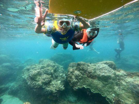 Good Dive view 2