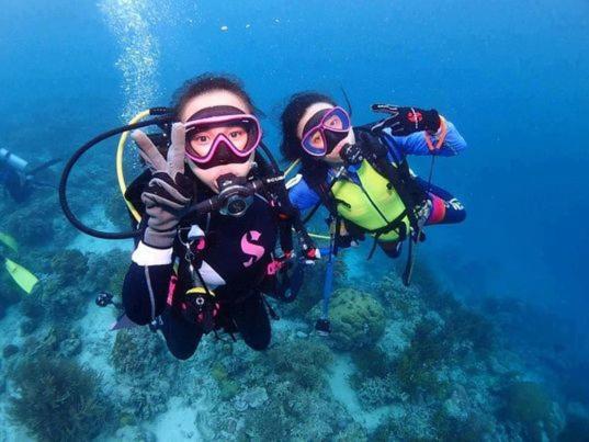 Good Dive view 5