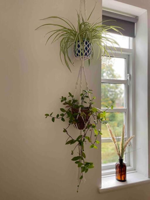 Linnet House - Relaxing - Leafy - Whole Apt- 2 Bed view 4