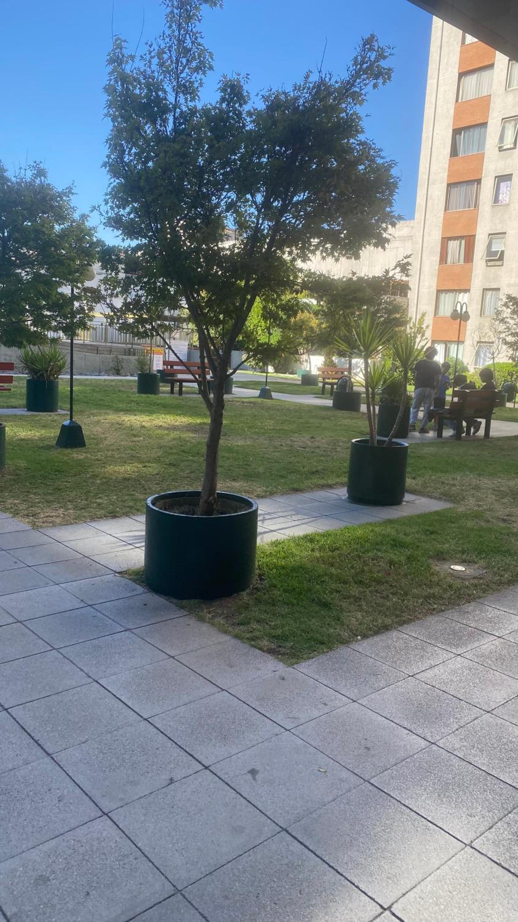 Jardines