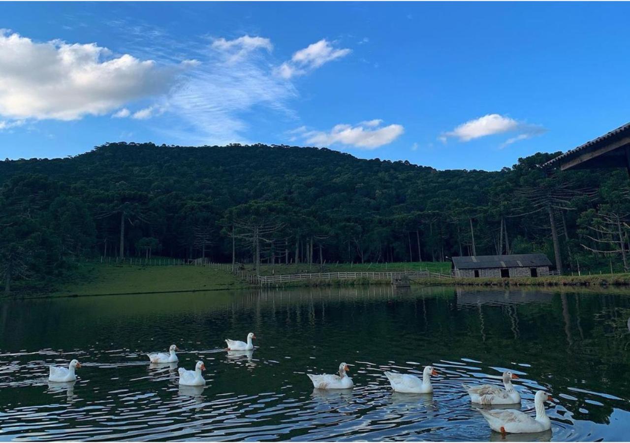Fazenda Santa Rita Turismo Rural