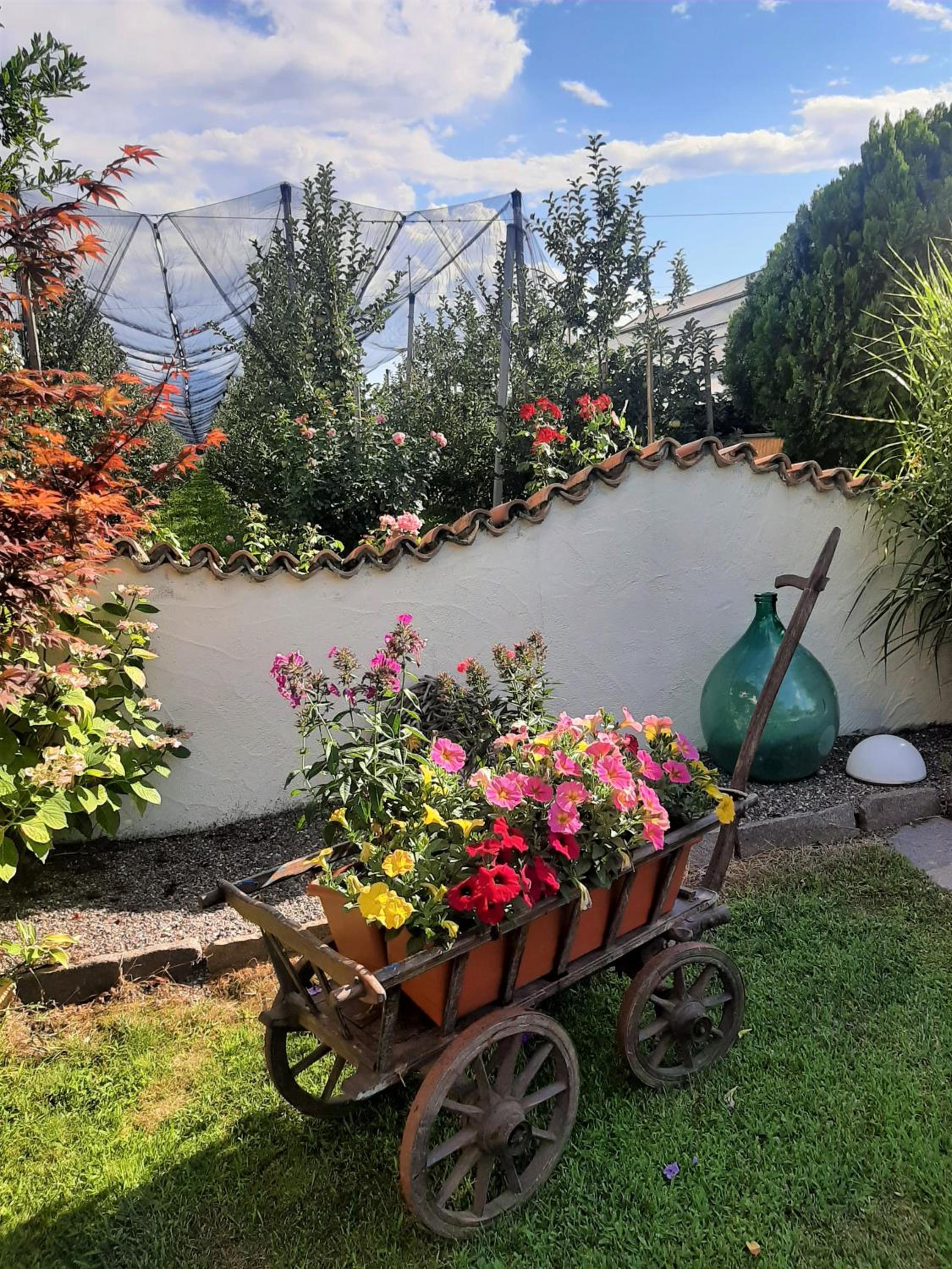 Photo 26