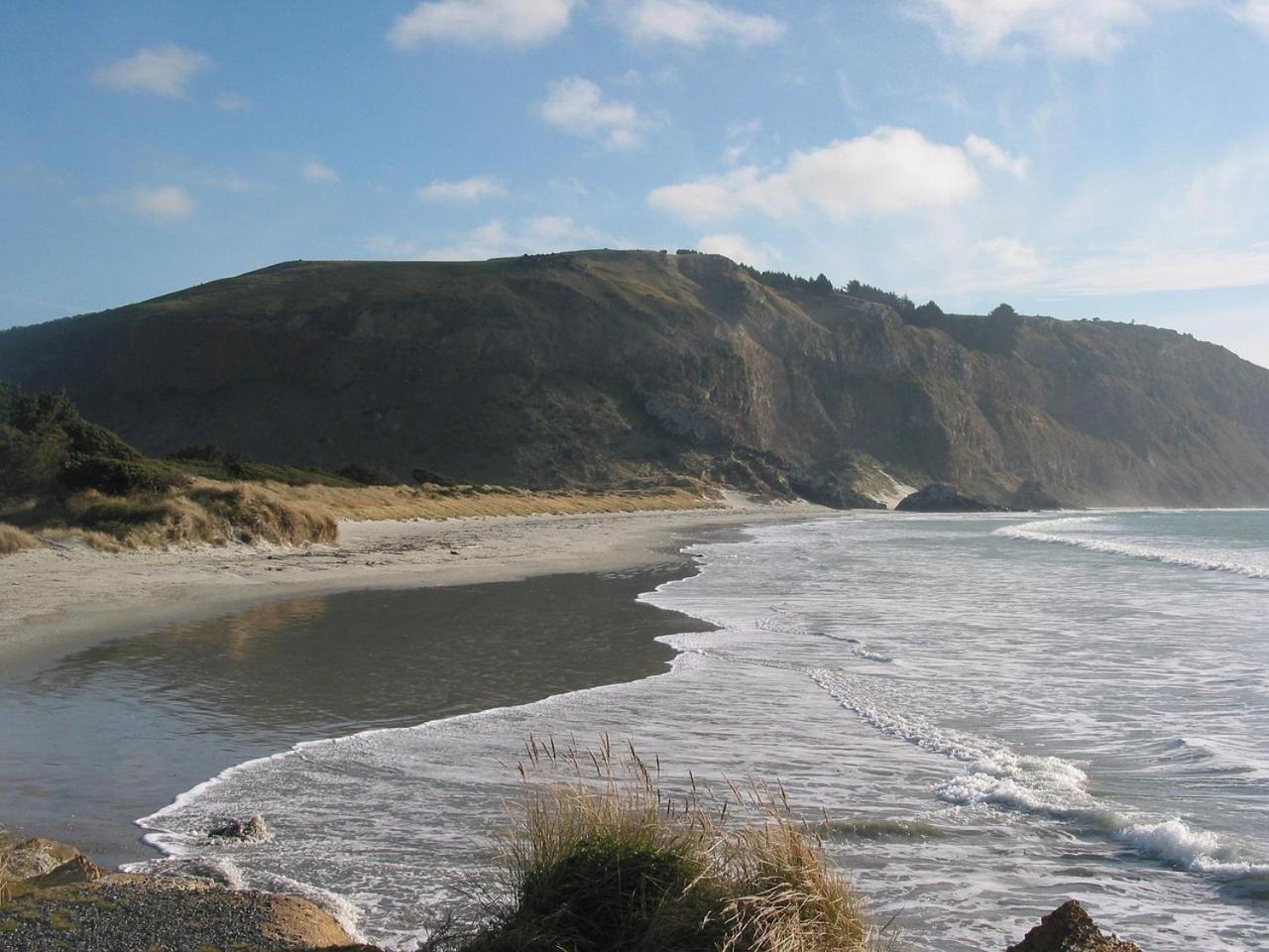 Aramoana Beach Escape view 2