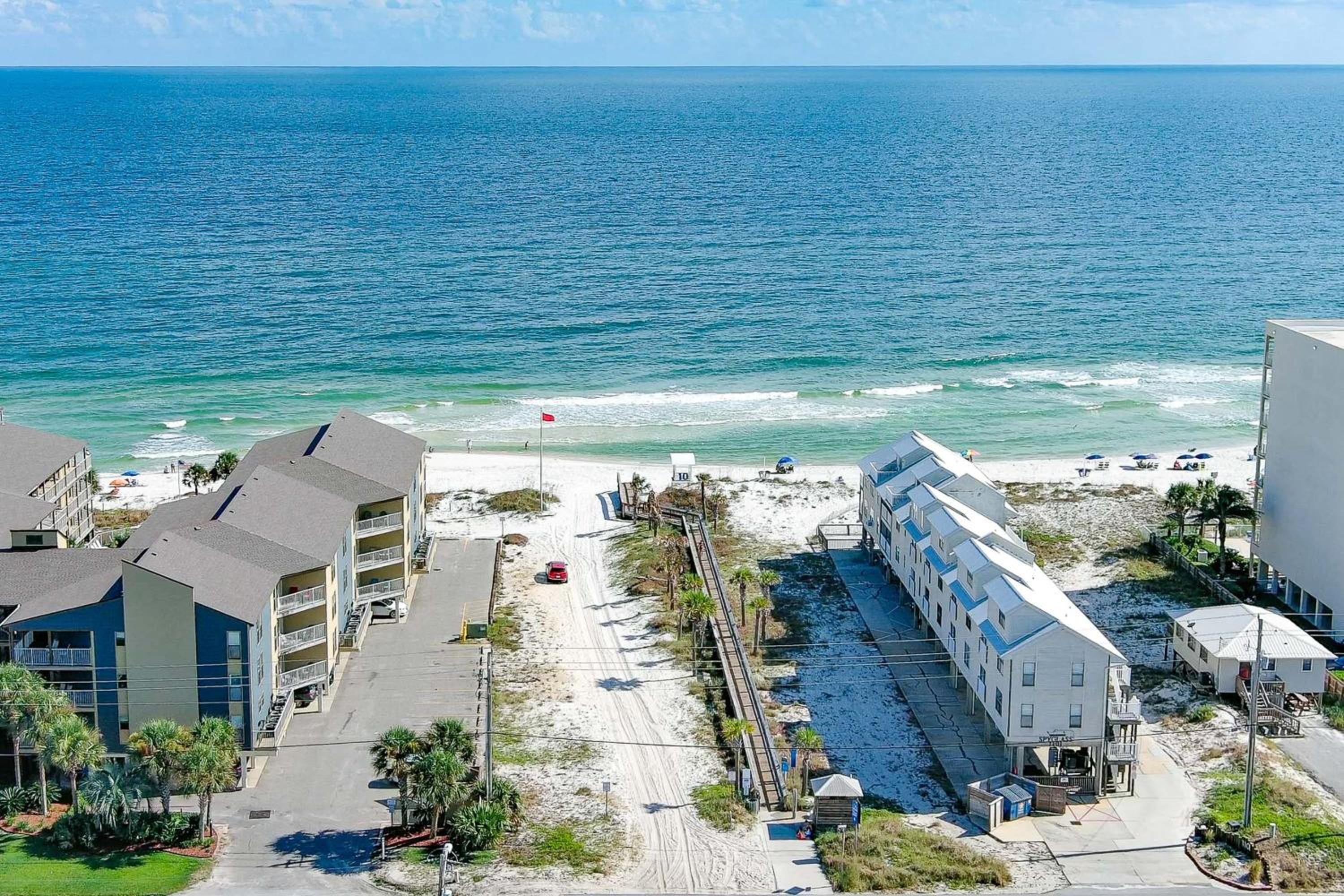 Bama Bliss