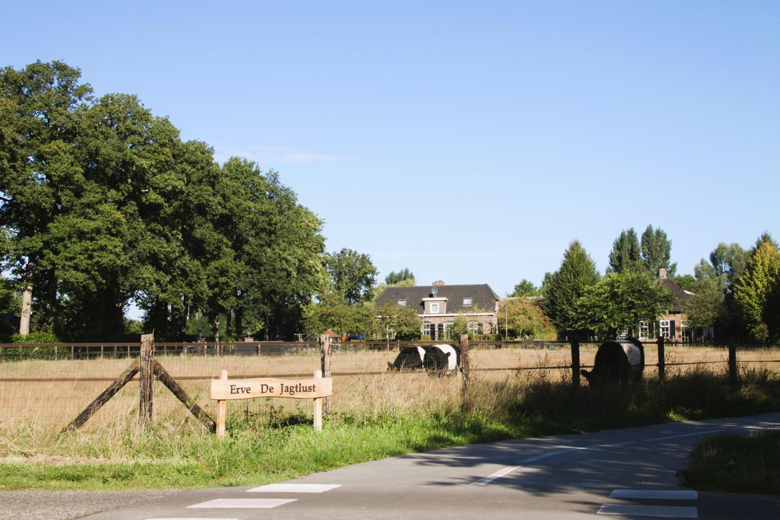 De Jagtlust view 2
