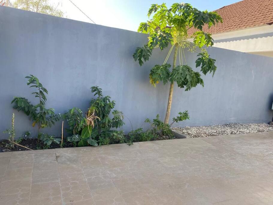Saffy Guest House view 4