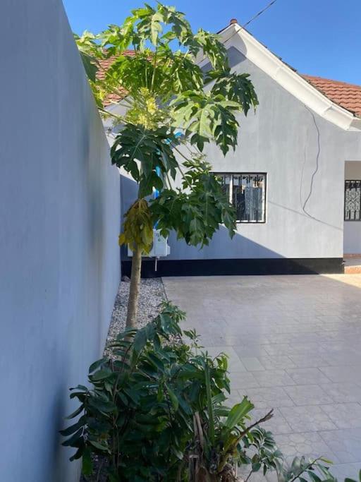 Saffy Guest House view 5