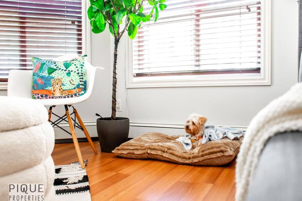 The Breakfast Club Suite - King Bed & AC - Patio - UG Park
