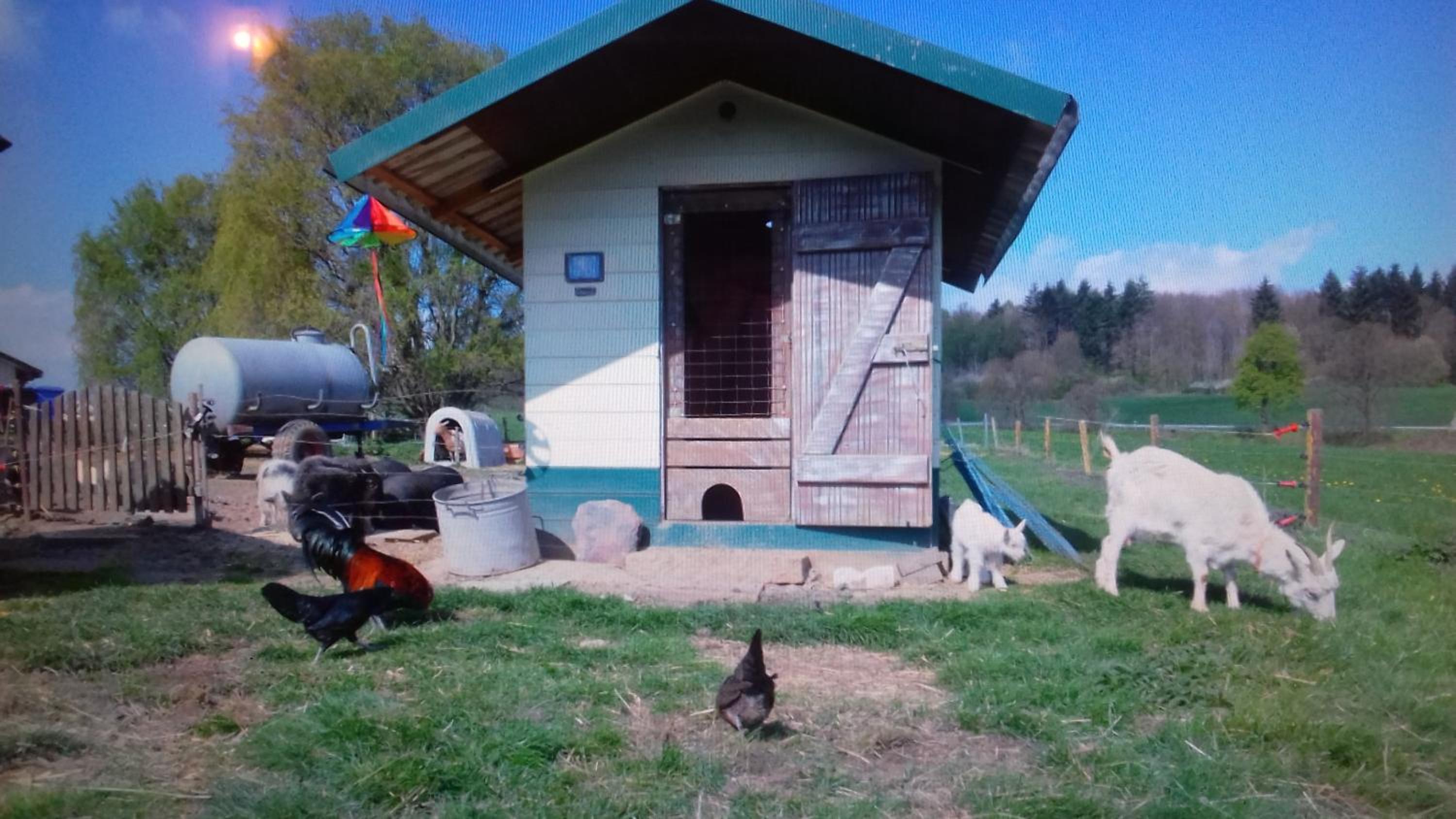 Kleine einzigartige Ferienwohnung auf dem Bauernhof, direkt in der Natur mit Blick auf Schloss Braunfels