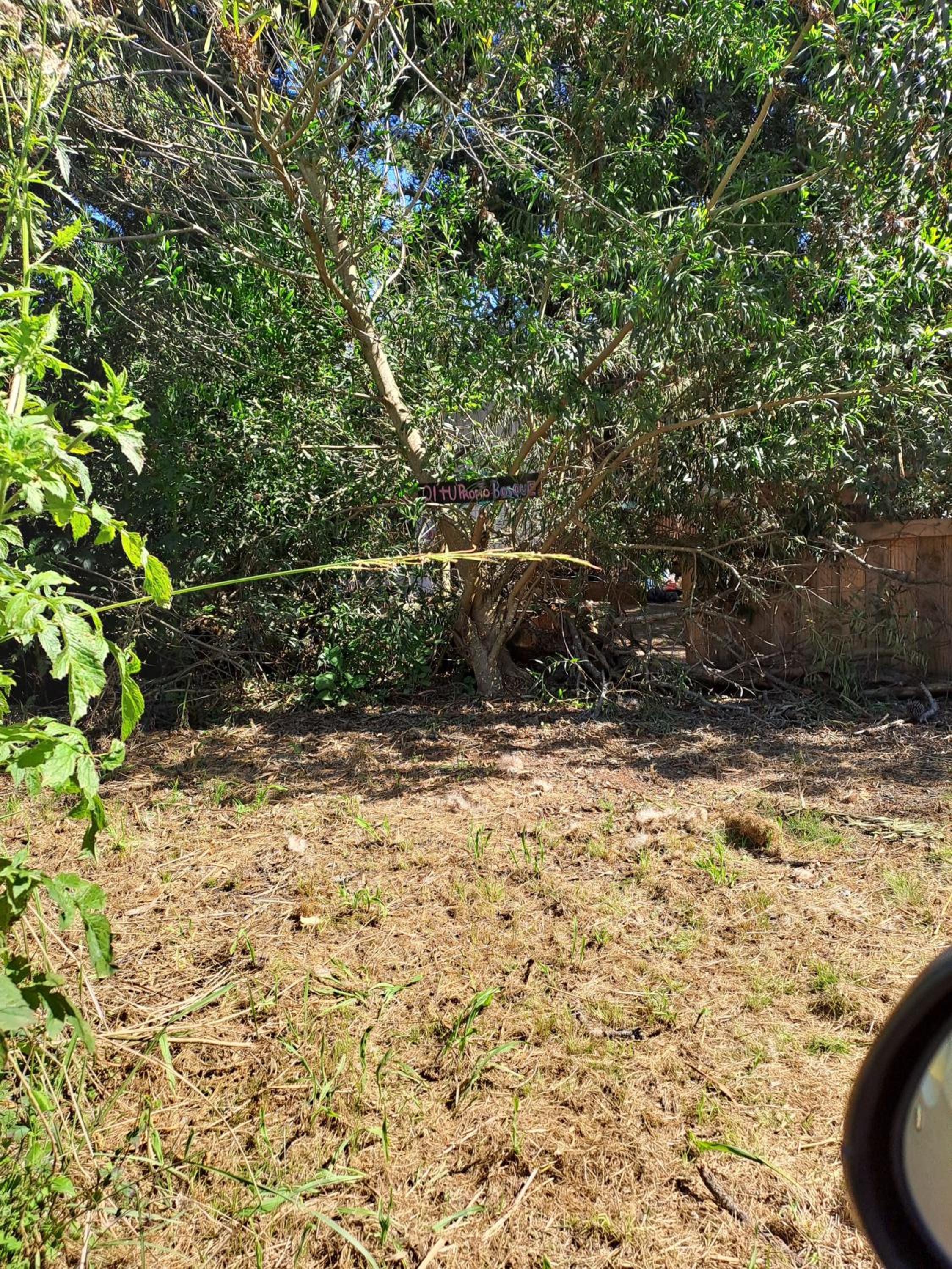 Mi pequeño Santuario