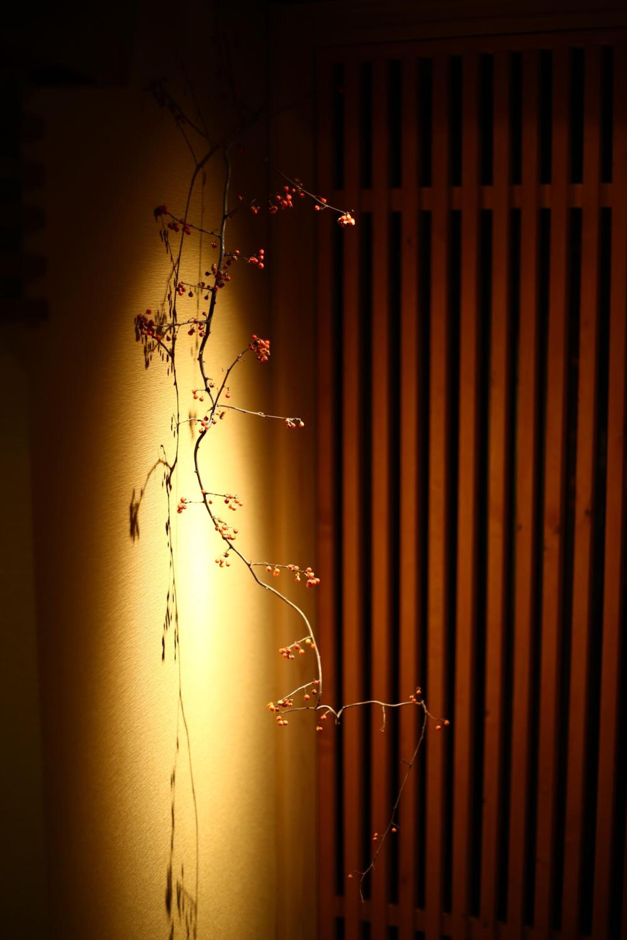 Nakajimaya Ryokan