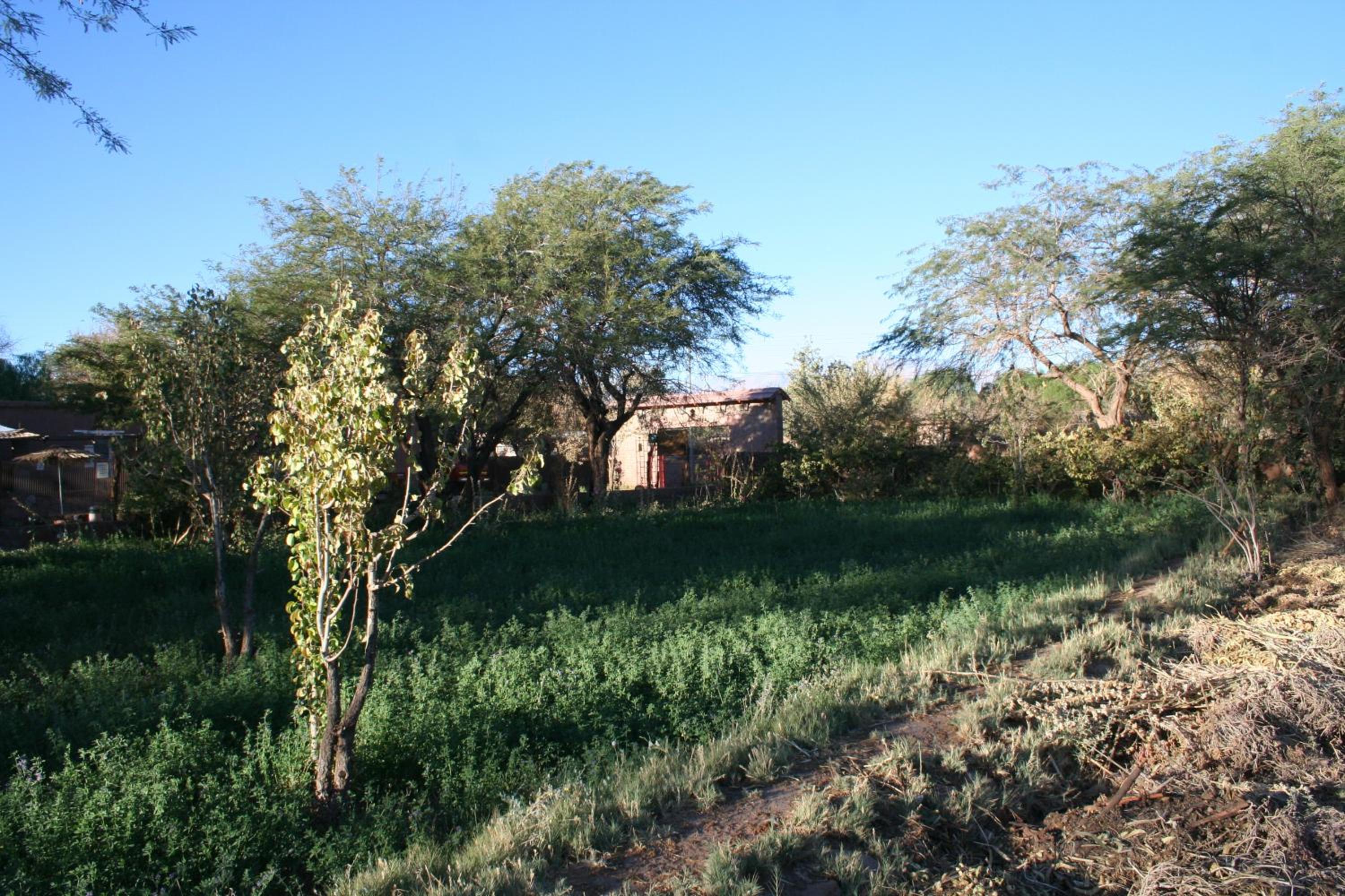 Quinta Adela Bed & Breakfast