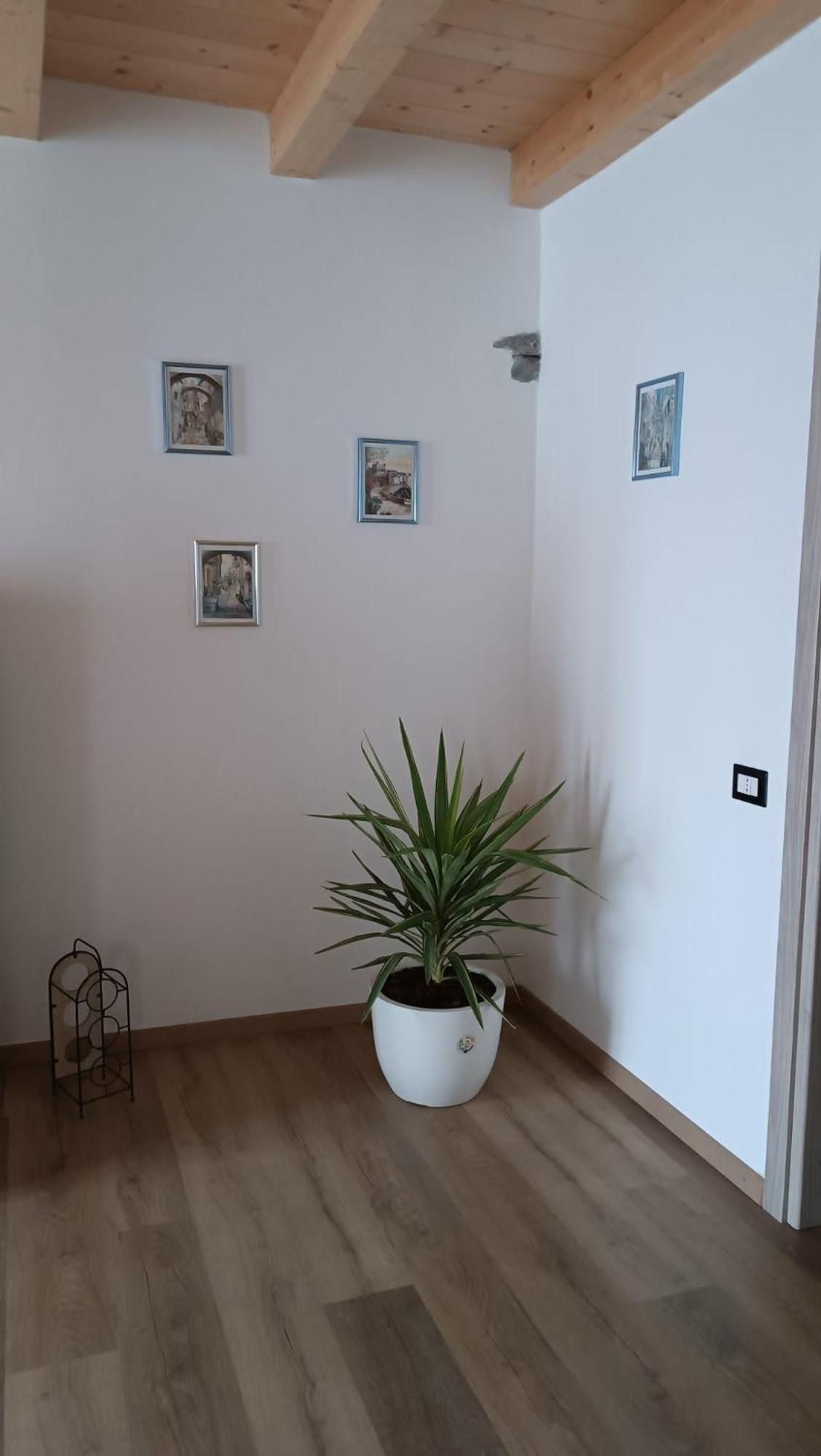 Photo 61