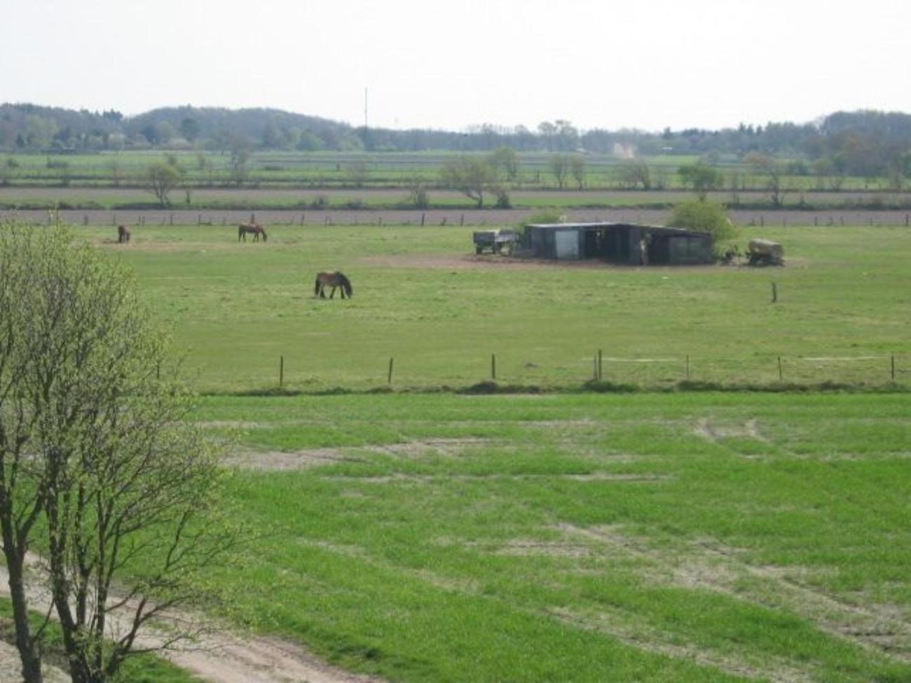 Vogelsand 348