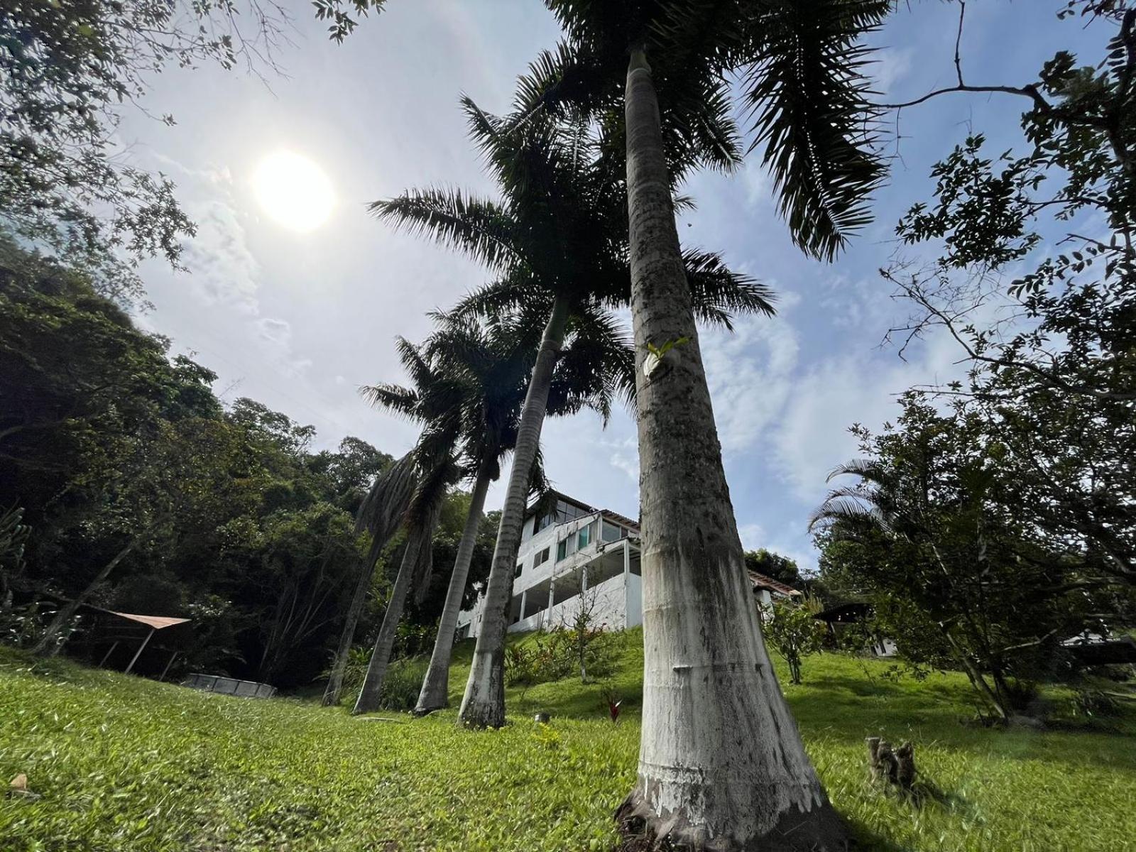 CASA CAMPESTRE EN LA VEGA A 1 HR DE BOGOTÁ
