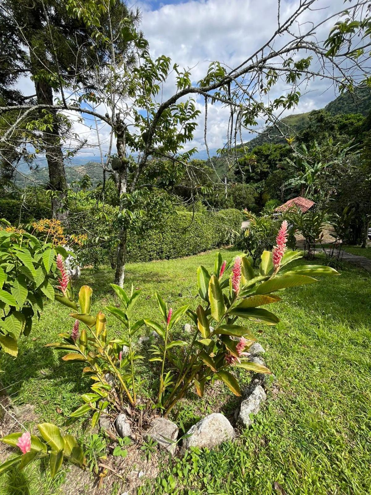 CASA CAMPESTRE EN LA VEGA A 1 HR DE BOGOTÁ