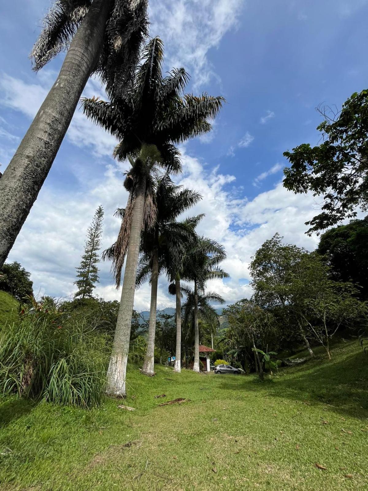 CASA CAMPESTRE EN LA VEGA A 1 HR DE BOGOTÁ